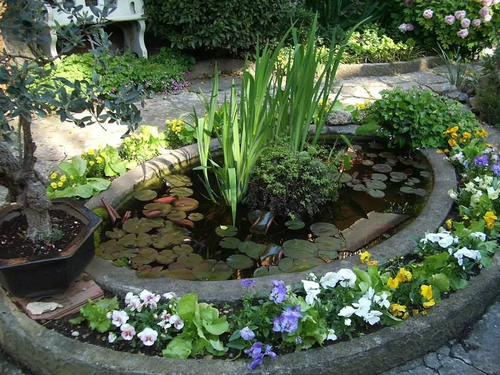 Frühstückspension B&B Al Gazebo Verona Italien