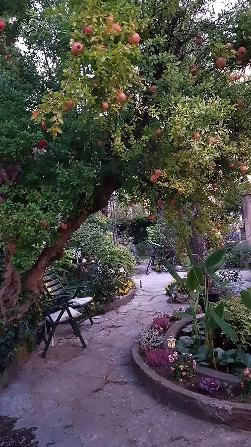 B&B Al Gazebo Verona 0*,  Italien